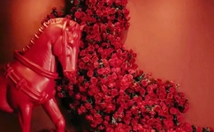 错把岳从后面进去了在线观看